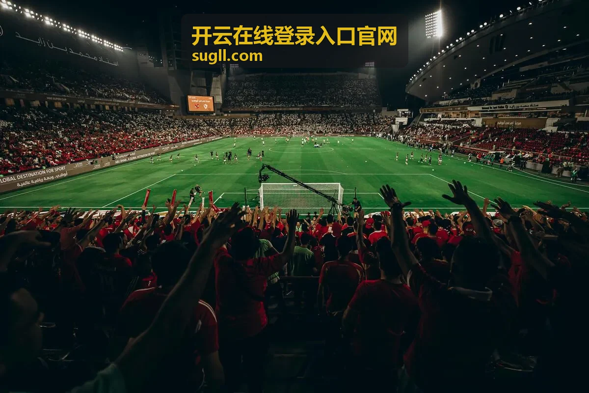 开云在线登录入口官网登录后账号状态核对说明
