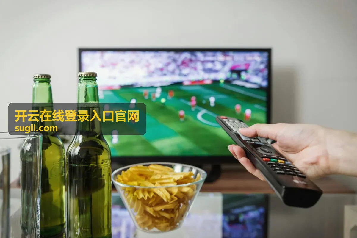 开云在线登录入口官网安全验证提示展示